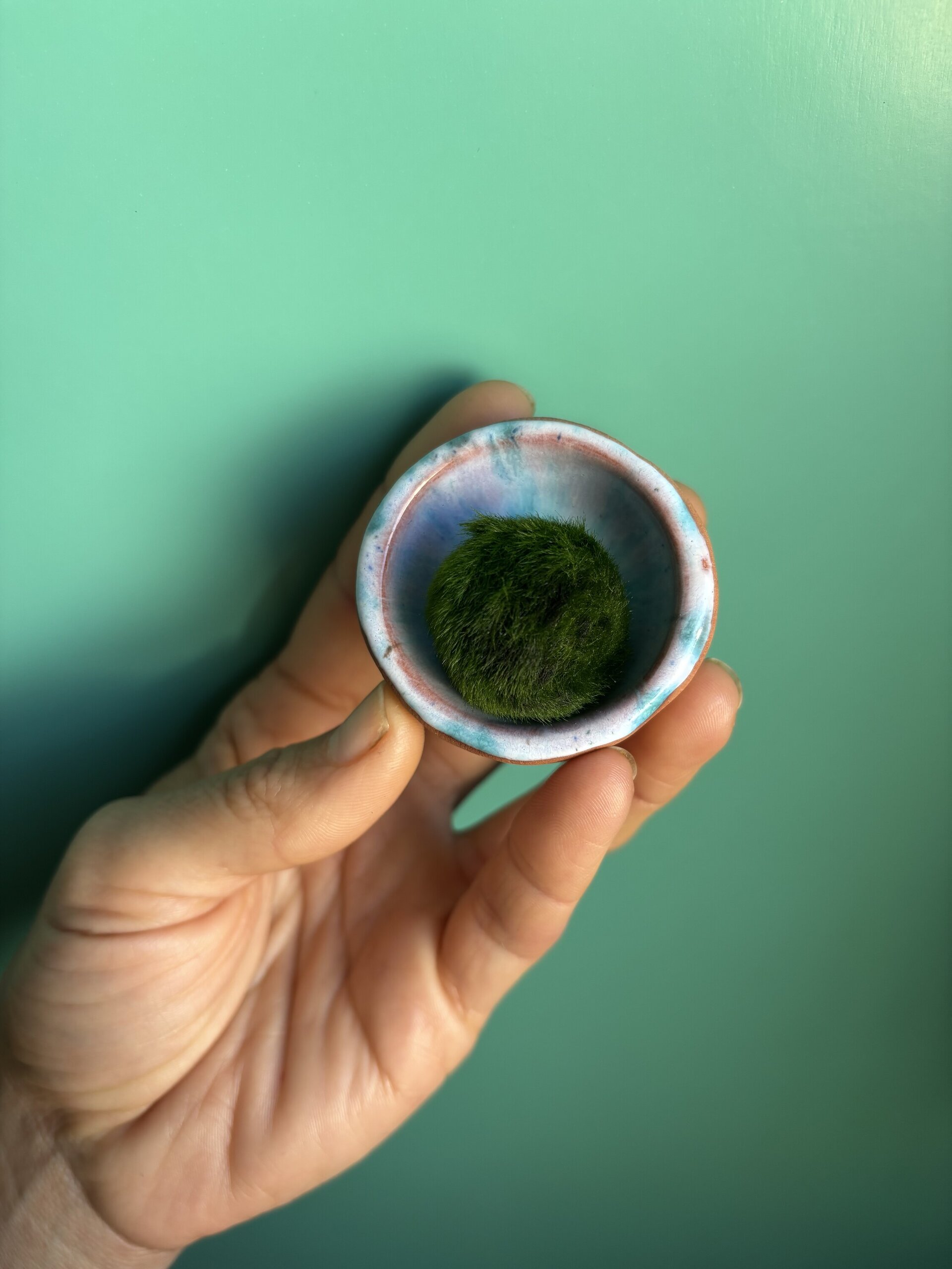 Kit marimo natural 500ml - 3